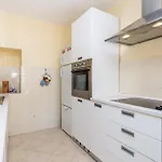 Beautiful In With Kitchen